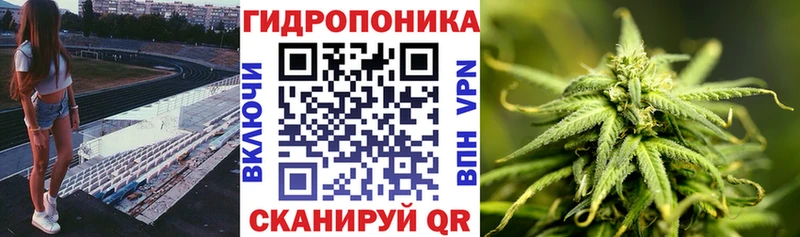 Купить наркотики сайты Александровск ГАШИШ COCAIN hydra ссылка Канабис Мефедрон Alpha PVP АМФ
