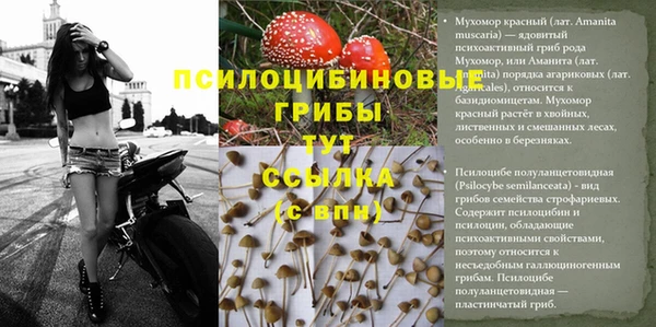 ешки Абаза