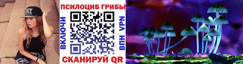 Псилоцибиновые грибы GOLDEN TEACHER Александровск